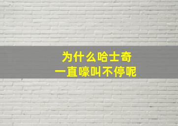 为什么哈士奇一直嚎叫不停呢