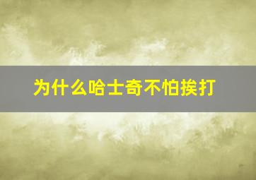 为什么哈士奇不怕挨打