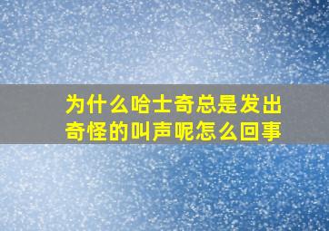 为什么哈士奇总是发出奇怪的叫声呢怎么回事