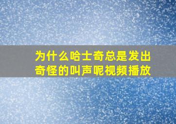 为什么哈士奇总是发出奇怪的叫声呢视频播放