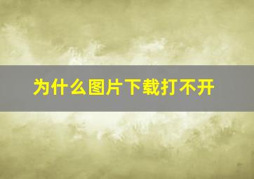 为什么图片下载打不开