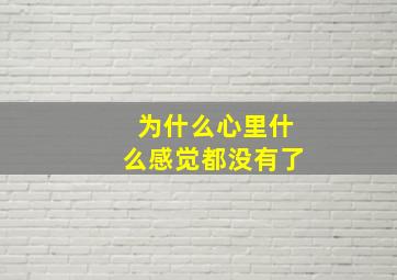 为什么心里什么感觉都没有了