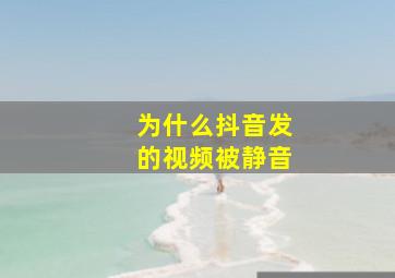 为什么抖音发的视频被静音