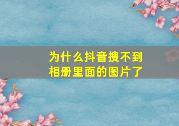 为什么抖音搜不到相册里面的图片了