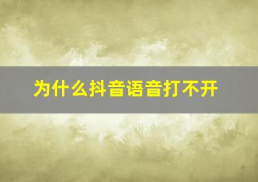 为什么抖音语音打不开