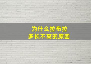 为什么拉布拉多长不高的原因