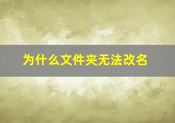 为什么文件夹无法改名