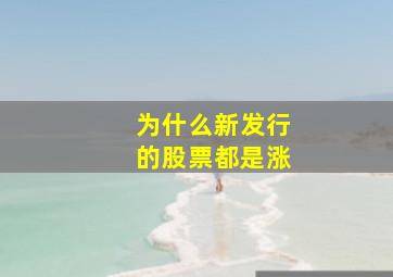 为什么新发行的股票都是涨