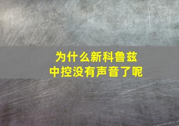 为什么新科鲁兹中控没有声音了呢