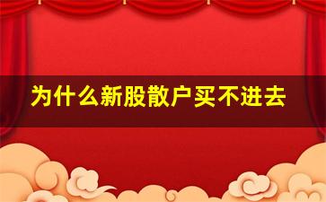 为什么新股散户买不进去