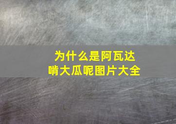 为什么是阿瓦达啃大瓜呢图片大全