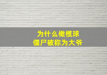 为什么橄榄球僵尸被称为大爷