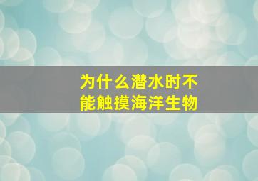 为什么潜水时不能触摸海洋生物