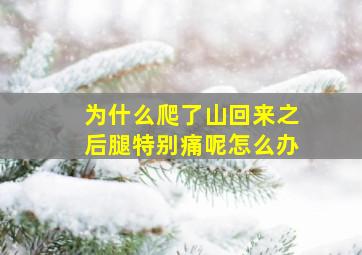 为什么爬了山回来之后腿特别痛呢怎么办