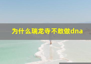 为什么瑞龙寺不敢做dna