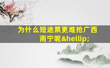 为什么短途票更难抢广西南宁呢…