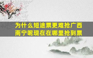 为什么短途票更难抢广西南宁呢现在在哪里抢到票