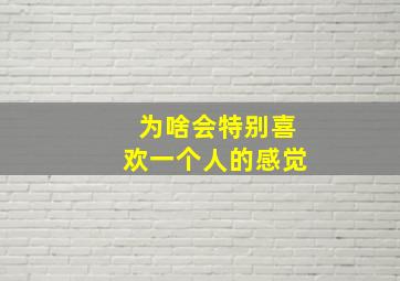 为啥会特别喜欢一个人的感觉