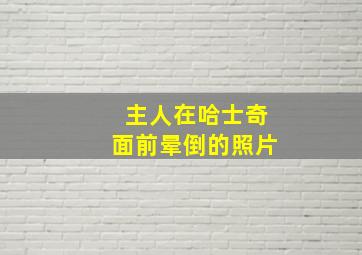 主人在哈士奇面前晕倒的照片