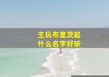 主玩布里茨起什么名字好听