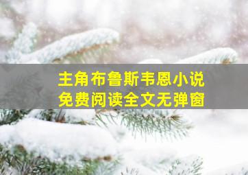 主角布鲁斯韦恩小说免费阅读全文无弹窗