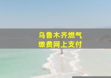 乌鲁木齐燃气缴费网上支付