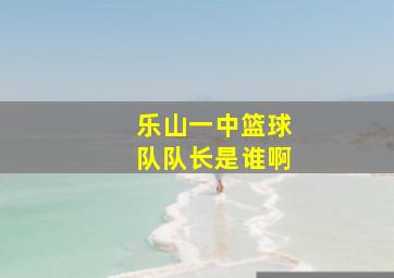 乐山一中篮球队队长是谁啊