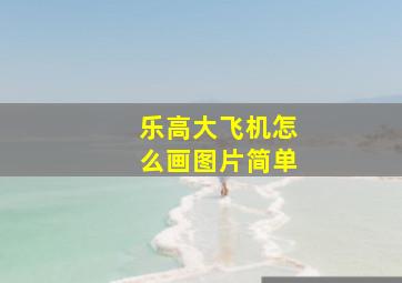 乐高大飞机怎么画图片简单