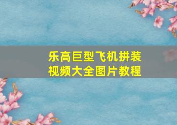 乐高巨型飞机拼装视频大全图片教程