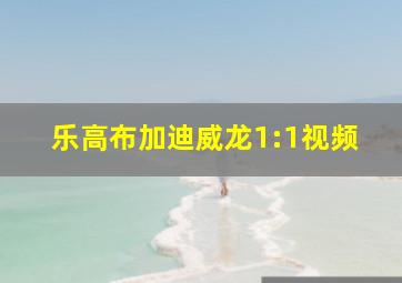 乐高布加迪威龙1:1视频