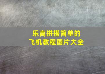 乐高拼搭简单的飞机教程图片大全