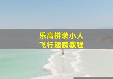 乐高拼装小人飞行翅膀教程