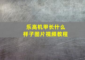 乐高机甲长什么样子图片视频教程