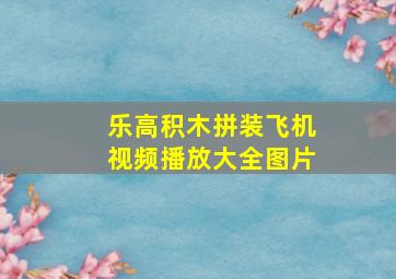 乐高积木拼装飞机视频播放大全图片