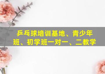 乒乓球培训基地、青少年班、初学班一对一、二教学