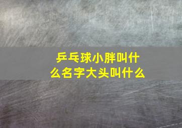 乒乓球小胖叫什么名字大头叫什么