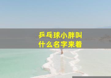 乒乓球小胖叫什么名字来着