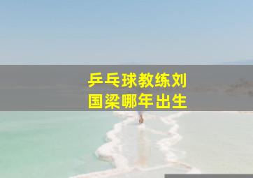 乒乓球教练刘国梁哪年出生