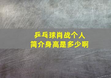 乒乓球肖战个人简介身高是多少啊