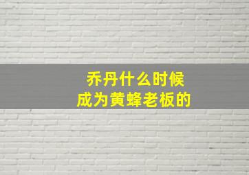 乔丹什么时候成为黄蜂老板的