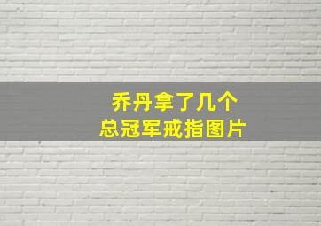 乔丹拿了几个总冠军戒指图片