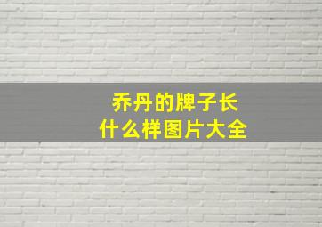 乔丹的牌子长什么样图片大全