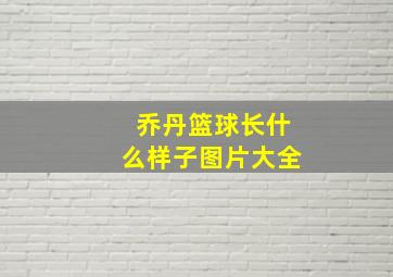 乔丹篮球长什么样子图片大全