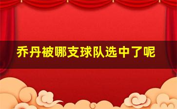 乔丹被哪支球队选中了呢