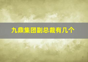 九鼎集团副总裁有几个