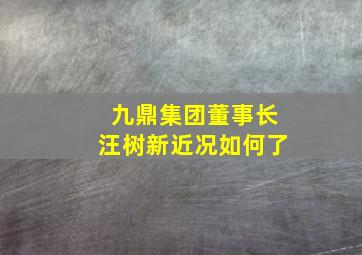 九鼎集团董事长汪树新近况如何了