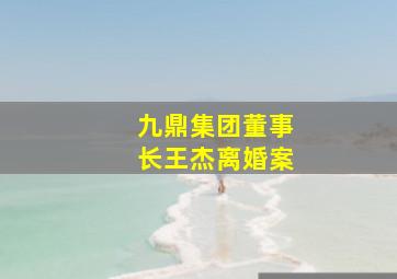 九鼎集团董事长王杰离婚案