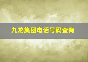 九龙集团电话号码查询