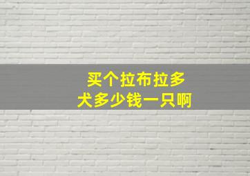 买个拉布拉多犬多少钱一只啊