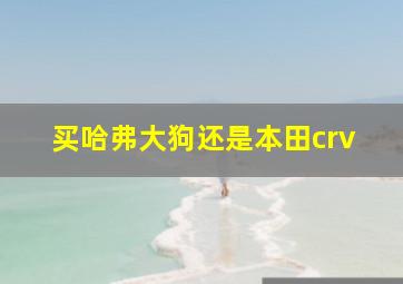 买哈弗大狗还是本田crv